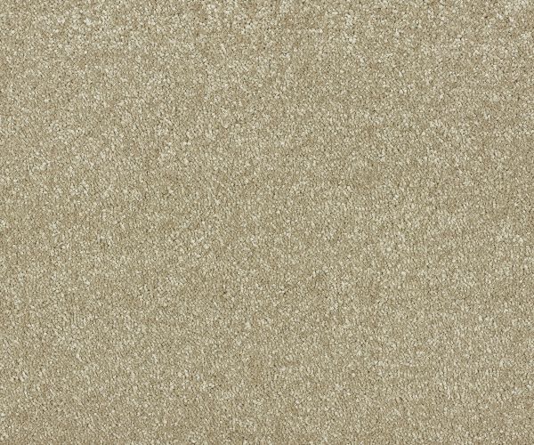 StainSafe Giovanni 15 Tufted Yarn