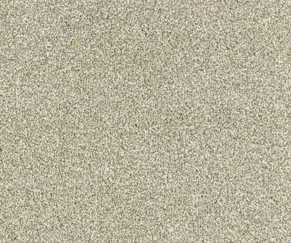 StainSafe Denanto 06 Fossil Stone