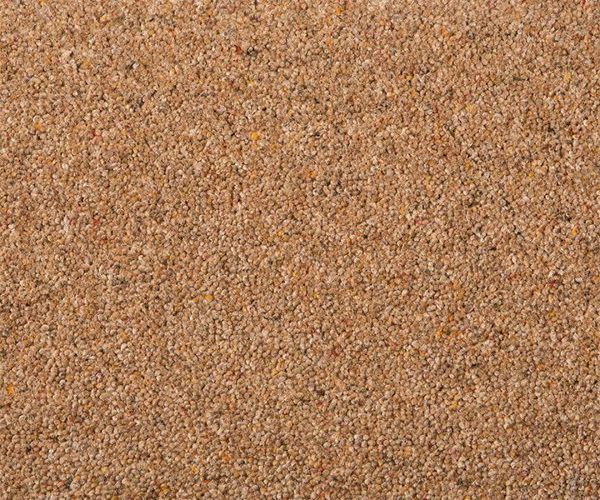 Swaledale AB Chestnut 4m.