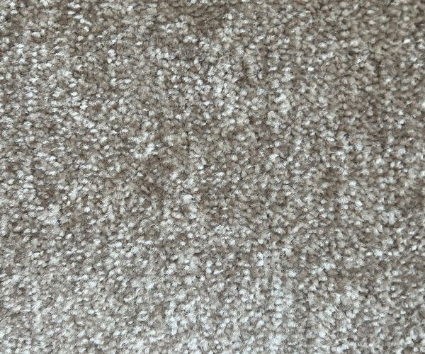 Rotterdam Collection 73 Oatcake