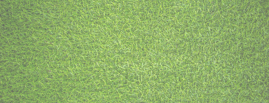 Artificial Grass
